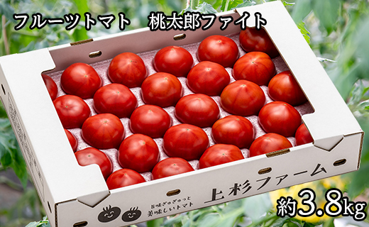 甘さにうっとりフルーツトマト（桃太郎ファイト）約3.8kg　24～32玉