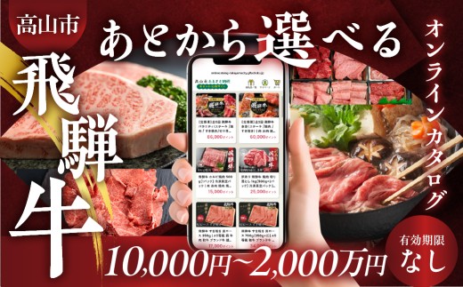 あとから選べる 飛騨牛オンラインカタログ 5万円コース | あとから選べる 飛騨牛  選べる カタログ すき焼き しゃぶしゃぶ 焼肉 ステーキ お楽しみ 定期便  あとからセレクト カタログギフト後からチョイス 50000円 あとから選べる あとから選べる あとから選べる あとから選べる あとから選べる オンラインカタログ オンラインカタログ カタログ カタログ