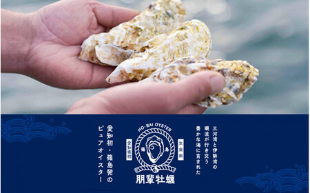 訳あり 牡蠣 かき 生食用 冷蔵 50個 朋輩牡蠣 篠島 かき 貝 かい オイスター 篠島 かき 貝 かい オイスター 篠島 かき