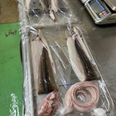 ふるさと納税 長崎県 長崎俵物　加工品セット(夏) |  | 02