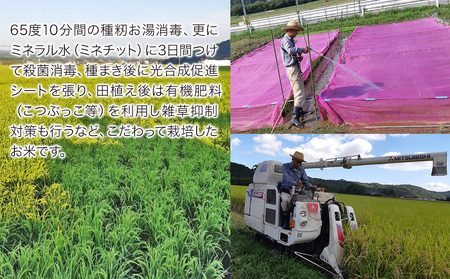 令和7年産 特別栽培米 なつほのか にこまる 5kg×2袋 計10kg | 大分県中津市三光産 栽培期間中 農薬不使用 精米 玄米 選べる 国産 お米 米 ご飯 白米 農家直送 宗像農園 大分県産 九