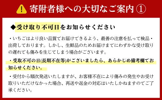 ＼ 期間限定 特別寄附額 ／ べにたま 特別厳選 まなこころ・彩 210g【6粒】いちご
