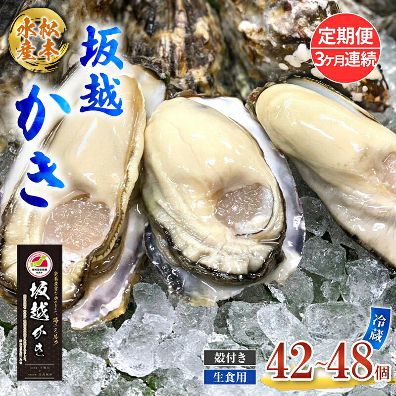 【ふるさと納税】定期便 牡蠣 生食用 坂越かき 殻付き 42～48個《3ヶ月連続お届け》 松本水産 [ 生牡蠣 真牡蠣 かき カキ 冬牡蠣 ]　お届け：2026年1月中旬～4月まで