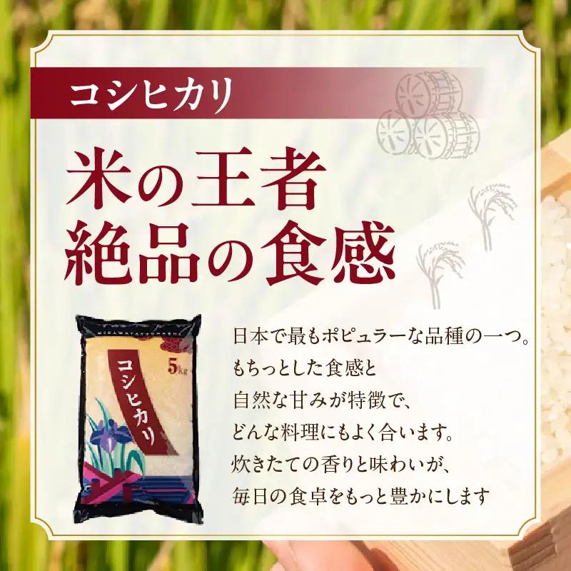 【令和８年産 先行予約】コシヒカリ（精米）15kg（11月発送）（3573）