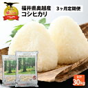 【ふるさと納税】【3ヶ月連続定期便】令和6年産 福井県産奥越コシヒカリ5kg ×2袋（10kg × 3ヶ月） / 新米 こしひかり 定期便 お米 米 こめ ブランド米 精米 白米 国産 福井県産 勝山市