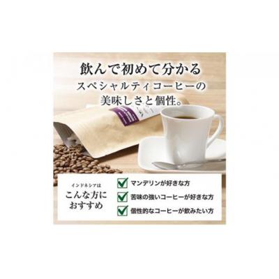 ふるさと納税 堺市 【豆】#906 インドネシア・マンデリン ミトラ G1 コーヒー豆 310g |  | 01