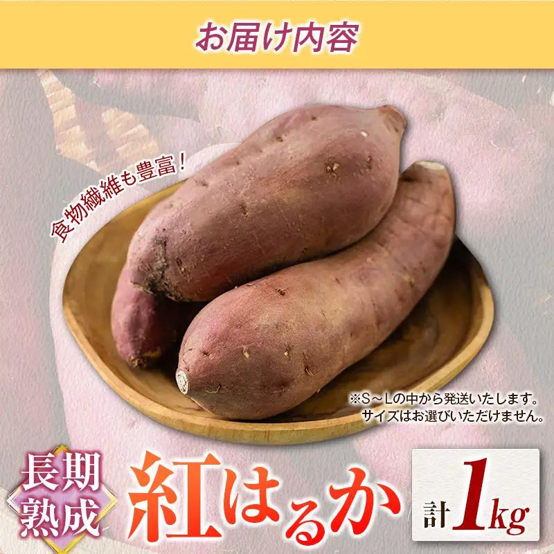 長期熟成 紅はるか 計1kg 宮崎県都城市産 さつまいも サツマイモ
