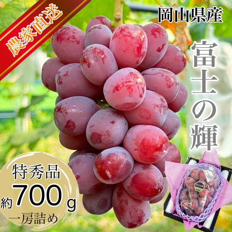 ぶどう 2026年 先行予約 話題の品種 富士の輝 1房詰め 特秀ランク 700g以上 特秀 葡萄 岡山県産 国産 フルーツ 果物 ギフト 【 Nini farm 農家 直送 】