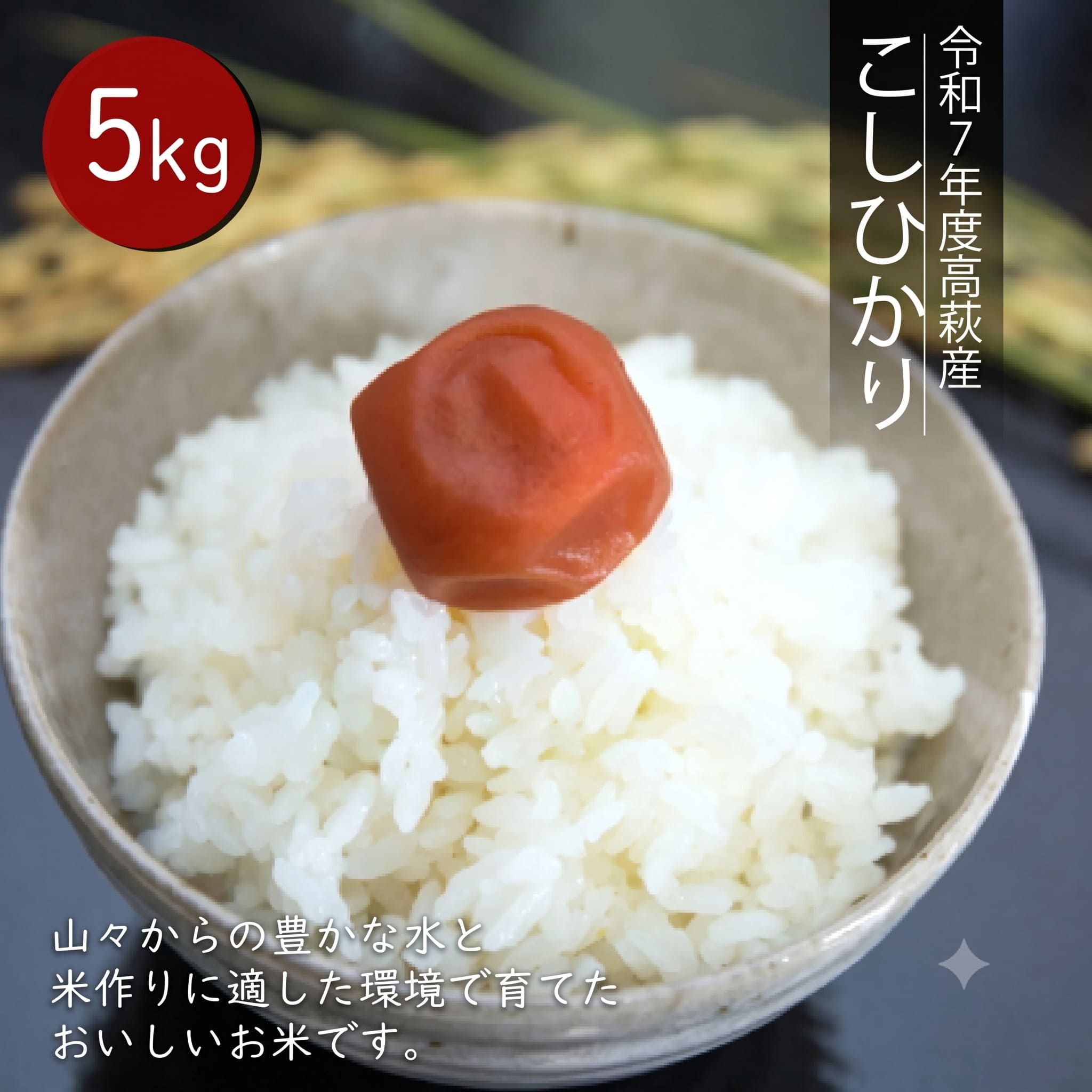 【ふるさと納税】令和7年度 高萩産 コシヒカリ 5kg