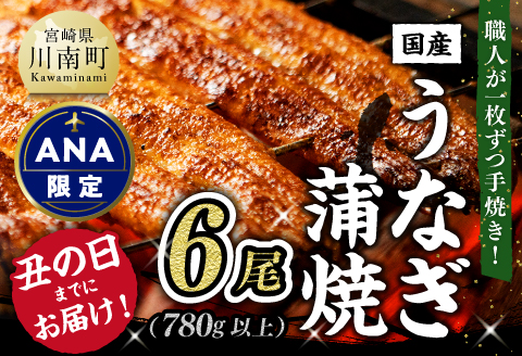 【ANA限定】【丑の日までにお届け！】ひむか 山道うなぎ 蒲焼 6尾分 (780g以上) 【国産 九州産 宮崎県産 うなぎ ウナギ 鰻 鰻の蒲焼き 蒲焼 】 [C08404]