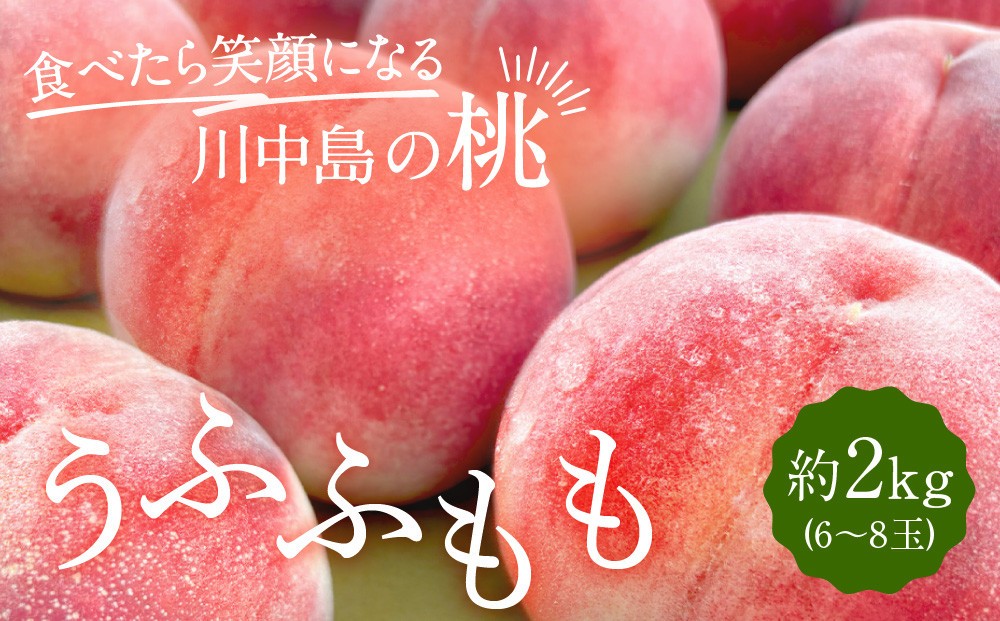 
                  すーさんの果樹屋　【先行予約】川中島の桃 約2kg 品種おまかせ  7月下旬～8月上旬発送予定 | 桃 もも フルーツ 果実  人気 おすすめ ギフト 産地直送 送料無料 長野県 長野市 信州 信濃 ふるさと納税
                