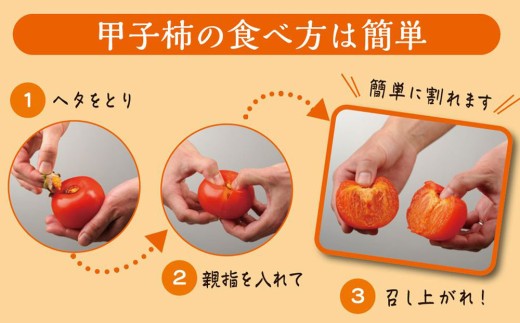 fc-80-001 甲子柿 4個 《10月中旬頃から順次発送予定》 甲子柿の里生産組合