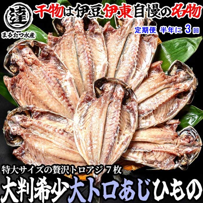 G3*【ふるさと納税】【定期便 全3回】伊豆・伊東 丸達水産 脂の乗りが違う！絶品とろあじ7枚セット 半年に3回