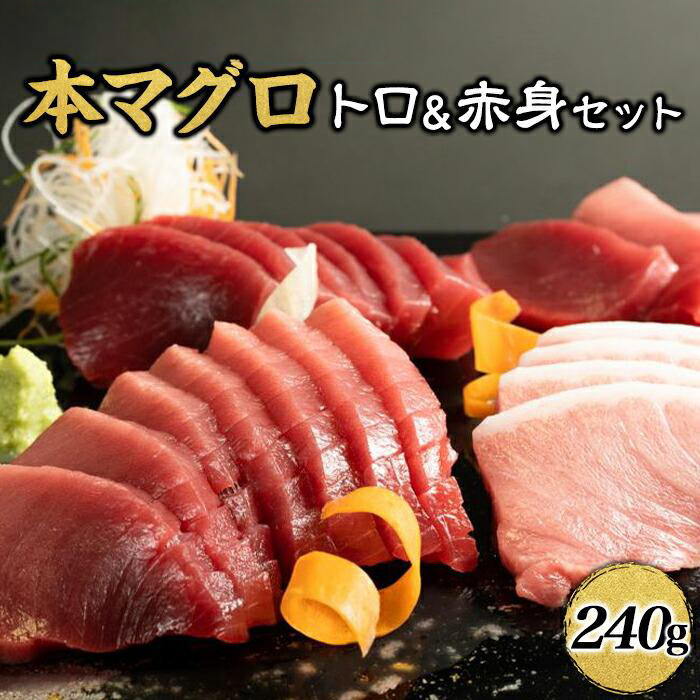 本マグロ（養殖）トロ＆赤身セット　240g［KS11］BA1001