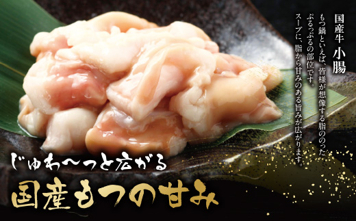  【8/19寄附額改定】福岡の名物添え!!博多若杉 牛もつ鍋(4～5人前)＆明太子セット