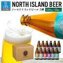 【ふるさと納税】ノースアイランドビール5種12本セット | お酒 ビール セット 飲み比べ クラフトビール 北海道ふるさと納税 江別 ふるさと納税 北海道 【AA002】