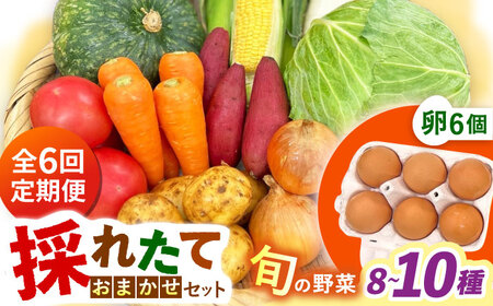 【全6回定期便】採れたてお野菜おまかせ（8〜10種）・卵6個セット/ 野菜 やさい 野菜セット 野菜詰め合わせ 詰め合わせ セット たまご 卵 タマゴ 紅たまご こだまさんち / 大村市 / かとりストアー[ACAN137]