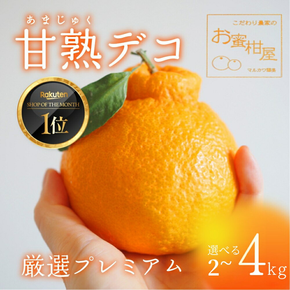 【ふるさと納税】≪先行予約≫ 完熟しらぬい『甘熟デコ』厳選プレミアム ≪選べる 2kg〜4kg≫ 2kg 3kg 4kg みかん 蜜柑 ミカン 柑橘 でこぽん デコポン 不知火 しらぬい 完熟 旬 フルーツ 果物 スイーツ 産地直送 高糖度 贈答 訳あり マルカワ園芸 愛知県 豊橋市