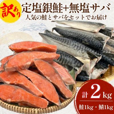 ふるさと納税 石巻市 《訳あり》  定塩銀鮭 約 1kg・無塩サバフィレ 約 1kg 切り身 セット 合計 2kg
