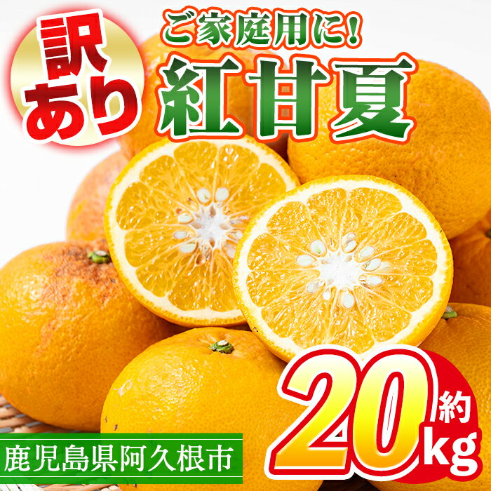 【ふるさと納税】＜先行予約受付中！2026年3月上旬以降順次発送予定＞訳あり！鹿児島県産まかない紅甘夏(約20kg) 国産 鹿児島産 柑橘 訳アリ 果物 フルーツ 旬 常温保存 紅甘夏 ベニアマナツ 数量限定 期間限定 規格外 デザート 阿久根市産【三笠農業生産】a-14-68-z