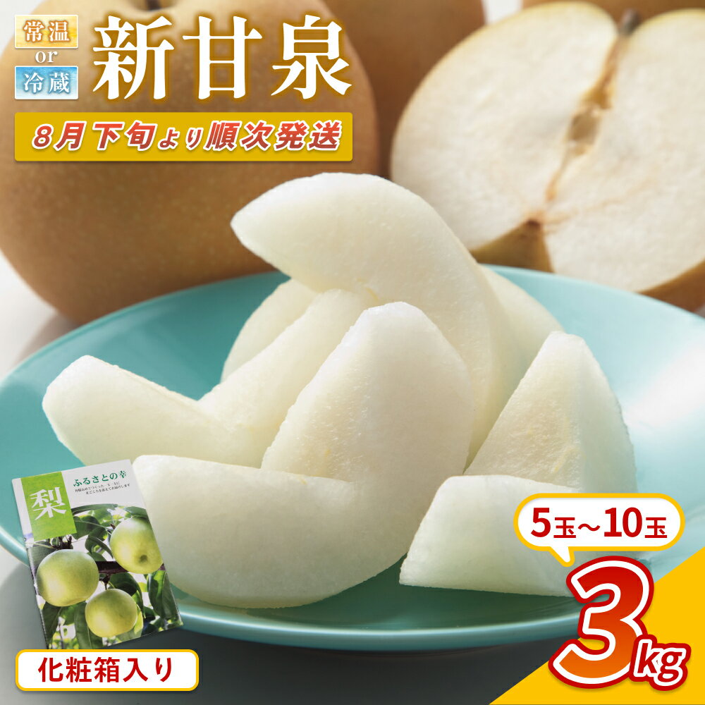 【ふるさと納税】【先行予約】中野農園 梨 ”新甘泉” 3kg 化粧箱入り｜鳥取 岩美 梨 なし ナシ 赤梨 果物 フルーツ ※お届けは2026年8月下旬頃～【41077】