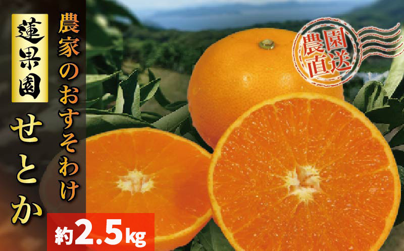
            【2026年2月下旬から発送予定】  せとか B品 家庭用2.5kg |みかん 蜜柑 柑橘 甘い 高級 先行 予約 果物 フルーツ おすすめ 人気 愛媛 松山
          