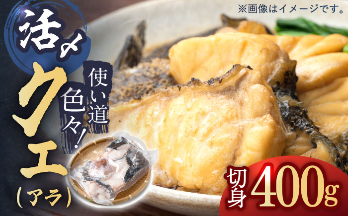使い道いろいろ！ 活〆 クエ （ アラ ） 切身 《 対馬市 》 【 対馬逸品屋 】 海鮮 高級 鍋 おもてなし [WAF009]
