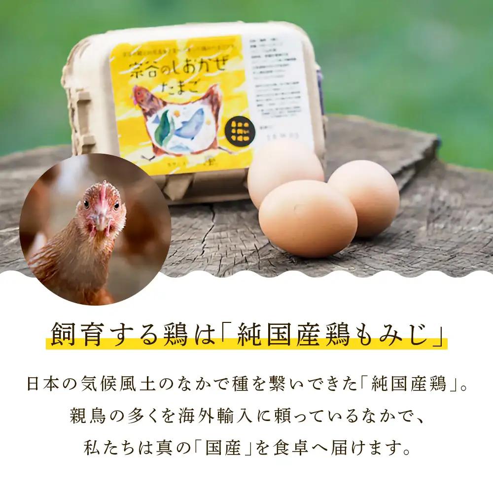 【2カ月定期便】宗谷のしおかぜたまご30個入