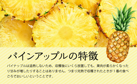 定期便 2ヶ月 2024年 先行予約 旬のパインアップル 約3kg 水鴨農園 2回 お楽しみ 果物 フルーツ