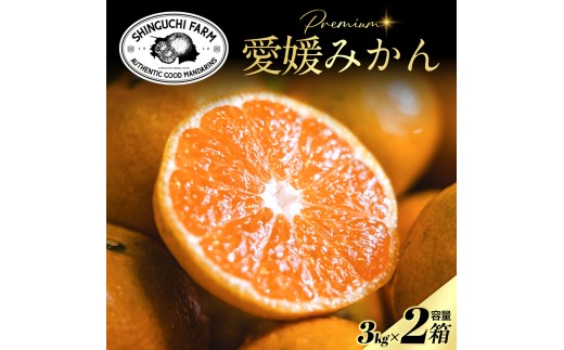 【先行受付】＜小玉サイズ限定＞五代目が厳選した愛媛みかん 3kg×2箱＜愛媛県川上産＞＜D70-103＞みかん ミカン 柑橘 柑橘類 フルーツ 果物 くだもの 人気 美味しい 愛媛県 八幡浜 ふるさと【1677113】 YWTK102