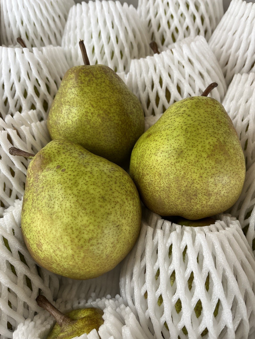 
                  西洋梨（ラ・フランス）６ｋｇ　ご家庭用　0041-2605
                