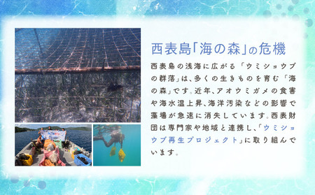一般財団法人西表財団