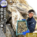 【ふるさと納税】厚岸産 殻かき L 20個セット 北海道 牡蠣 カキ かき 生食 　魚介類 カキ