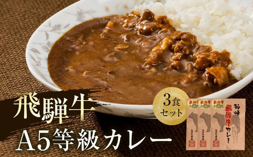 
            【年内発送が選べる】A5等級飛騨牛 カレー 3食セット | 肉 レトルト 人気 飛騨高山 発送時期が選べる ながせ食品 FH006VP
          