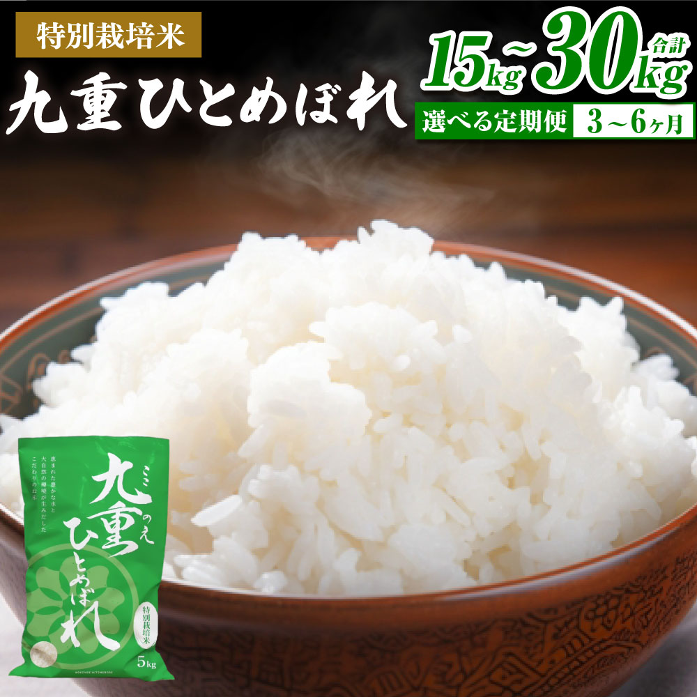 【ふるさと納税】＜選べる定期便＞九重 ひとめぼれ 1回あたり5kg 1ヶ月毎 3回 6回 計15kg（5kg×3回） / 計30kg（5kg×6回） 令和7年産 お米 こめ 白米 精米 単一原料米 ごはん ご飯 大分県産 国産 九州 大分県 九重町 送料無料