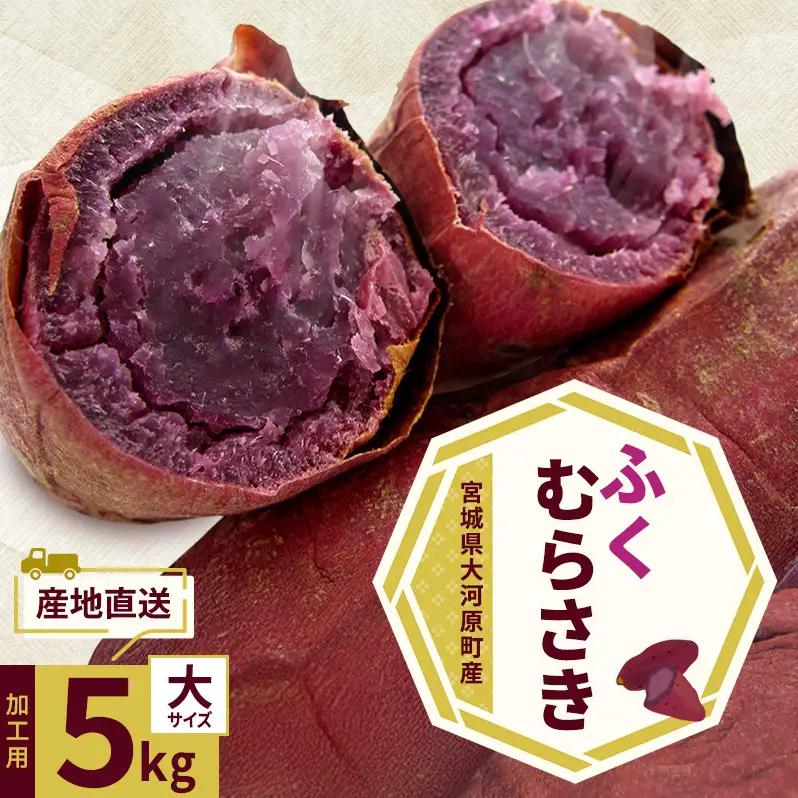 さつまいも 約5kg ふくむらさき 加工用 サツマイモ