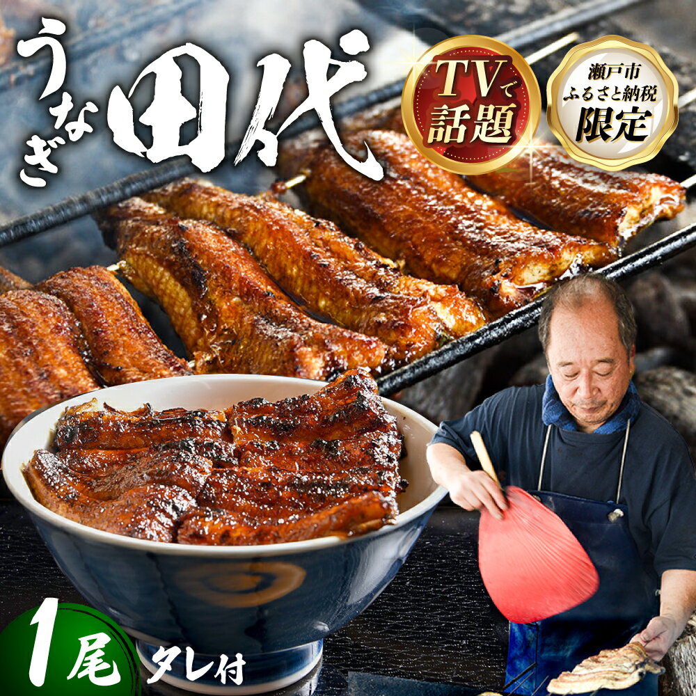 【ふるさと納税】【TVで話題沸騰！】 炭火焼き 国産うなぎ 蒲焼 1尾 / 取り寄せ 田代 うなぎ 愛知県 瀬戸市 尾張瀬戸 / 瀬戸市 / うなぎ田代[BBCA001]