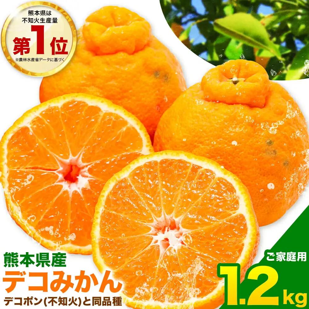 不知火 1.2kg 熊本 訳あり不知火