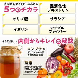 乳酸菌サプリメント ナノ型乳酸菌10兆個＆ビフィズス菌配合 菌活すっきり 6袋(6ヶ月分)【1495264】