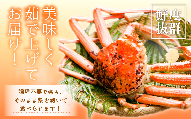 【ANA限定】≪浜茹で≫越前がに 特大サイズ 2杯（生で1杯1kg～1.2kg以上）食べ方しおり付【 雄 ズワイガニ かに カニ 蟹 越前ガニ 姿 ボイル 冷蔵 福井県】【1月発送分】希望日指定可 備
