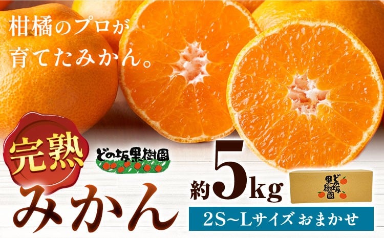 
                  みかん 《もぎたて最短出荷！》冬の味覚は今が旬！ みかん 約 5kg (2S～Lサイズ) どの坂果樹園《寄付から7－14日以内に出荷予定》 和歌山県 日高町 みかん 早生 旬 柑橘 フルーツ 果物 蜜柑 ミカン
                