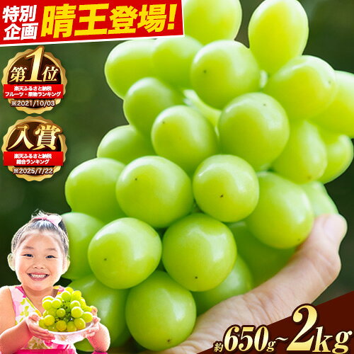 岡山県産 シャインマスカット 約1.2kg 2房 葡萄 果物 訳あり 優品 スイーツ フルーツ デザート 岡山県矢掛町《3-10営業日以内に出荷(土日祝除く)》