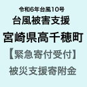 【ふるさと納税】【令和6年台風10号被害支援緊急寄附受付】宮崎県高千穂町災害応援寄附金（返礼品はありません）