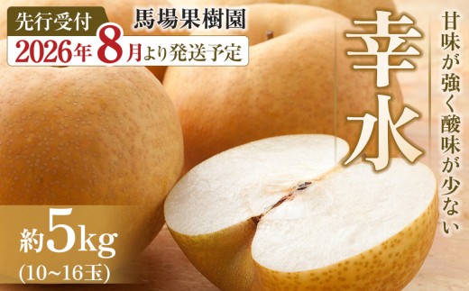 
                  【2026年先行予約／馬場果樹園】梨「幸水」約5kg（10～16玉入）8月中旬～順次発送
                