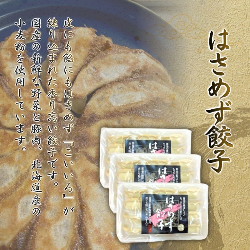 はさめず餃子セット【hkst0001】