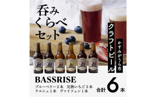 
クラフトビール6本セット(ブルーベリー、完熟いちご各2本/ケルシュ、ヴァイツェン各1本)【1235340】
