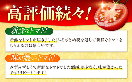 「食の安全」を守りたい！自然を活用した低農薬栽培！江田島ロマーノ トマト 2kg 料理 人気 美容 健康 ギフト 広島県産 江田島市/有限会社グリーンファーム沖美[XAB005]