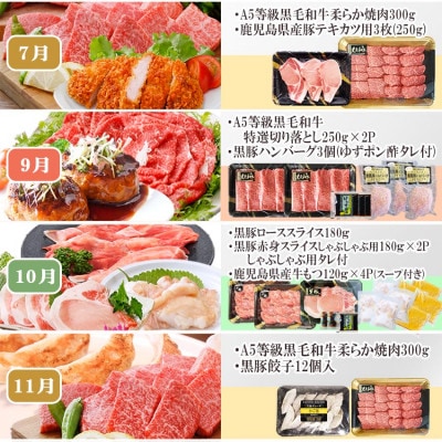 定期便(1年で10回配送)お楽しみ便(A5等級黒毛和牛・鹿籠豚(黒豚)・かご豚加工品等HH−6004【配送不可地域：離島】【1166752】