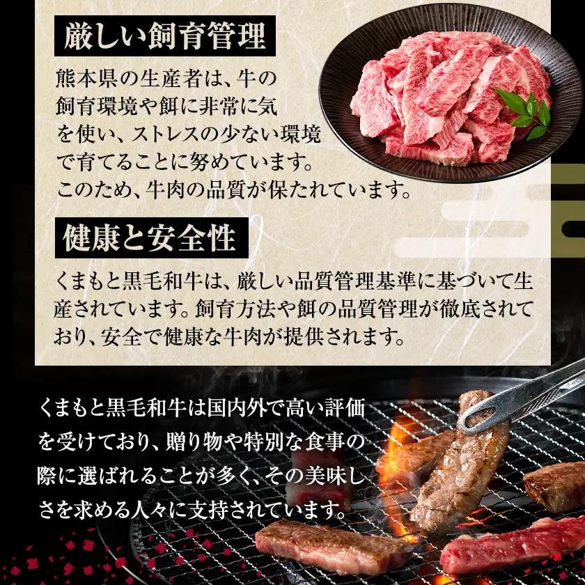 A4～A5等級 黒毛和牛 切り落とし 上 カルビ 焼肉 切り落とし 300g《7-14日以内に出荷予定(土日祝除く)》くまもと黒毛和牛 熊本県 菊池市 上カルビ 焼肉用 黒毛和牛 焼肉 肉 お肉 和牛
