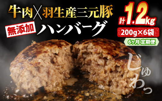 【定期便】 無添加ハンバーグ 1.2kg ×6回 計7.2kg 牛肉 豚肉 大判ハンバーグ 惣菜 冷凍 ハンバーグ hamburg 無添加 国産 はんばーぐ 肉 hanba-gu hannba-gu